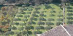 vue
                          depuis le village de Bannes