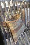 sur fond
                        branche de bois