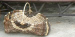 panier sur
                    arceaux